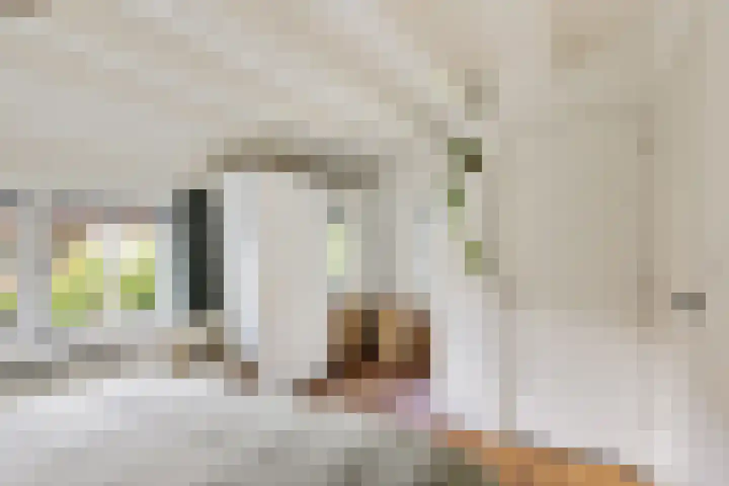 Meloenstraat 27 Utrecht thumbnail 26
