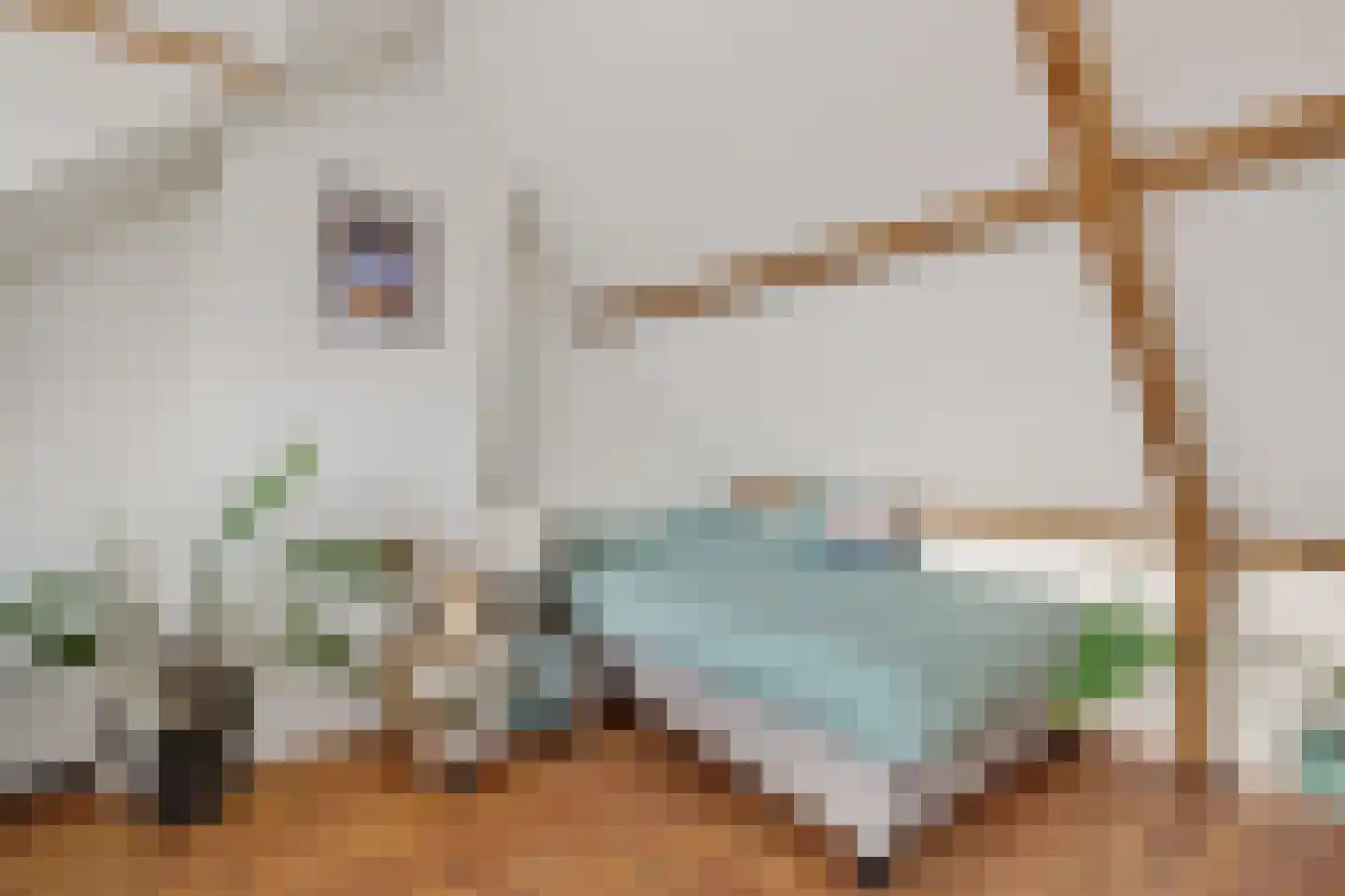 Meloenstraat 27 Utrecht thumbnail 29
