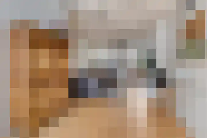 Meloenstraat 36 Leiden thumbnail 8