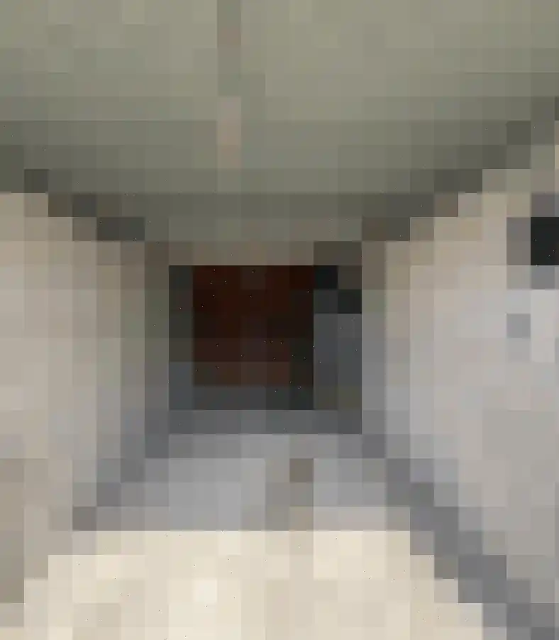 Meloenstraat 42 E Naaldwijk thumbnail 4