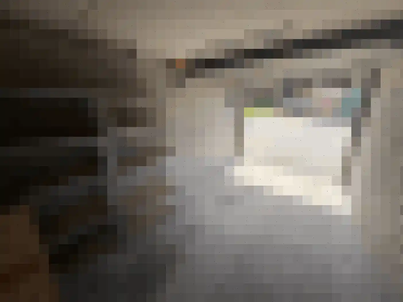 Meloenstraat 42 E Naaldwijk thumbnail 5