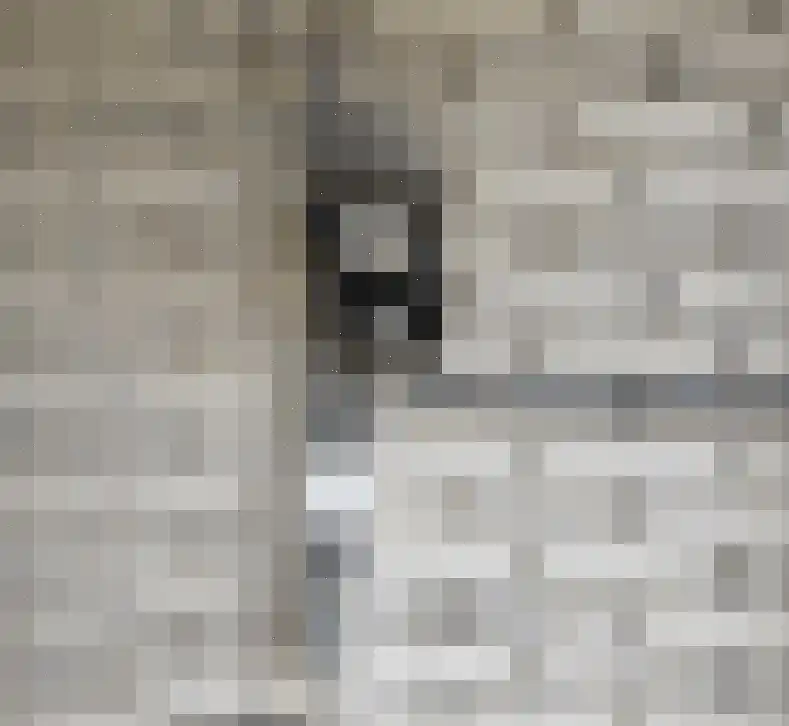 Meloenstraat 42 E Naaldwijk thumbnail 7