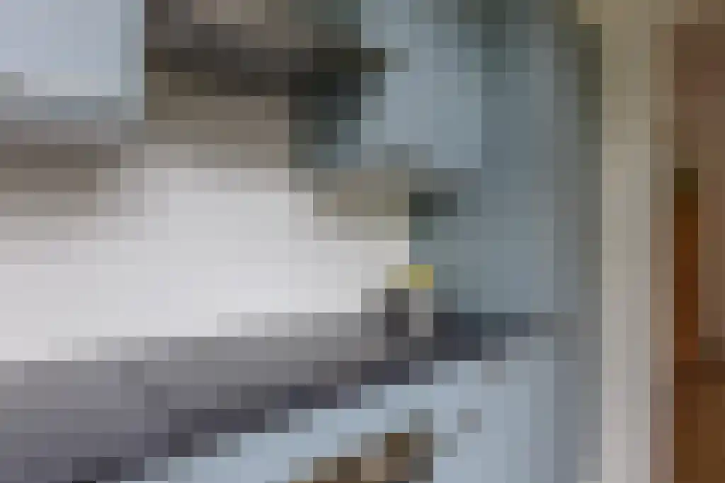 Meloenstraat 42 Utrecht thumbnail 18