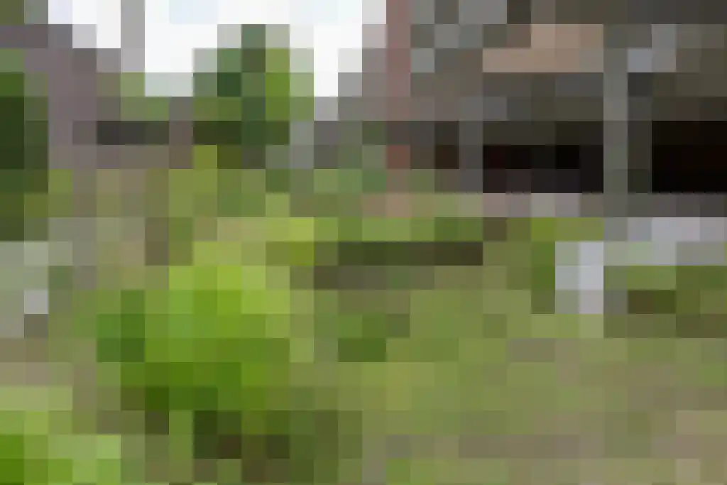 Meloenstraat 42 Utrecht thumbnail 43