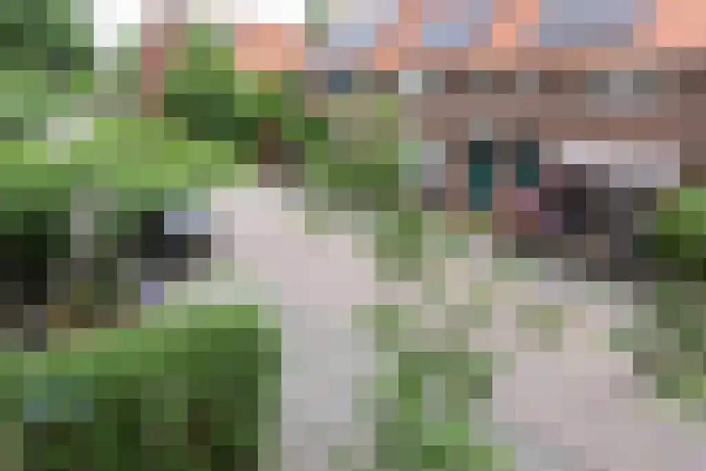Meloenstraat 42 Utrecht thumbnail 46