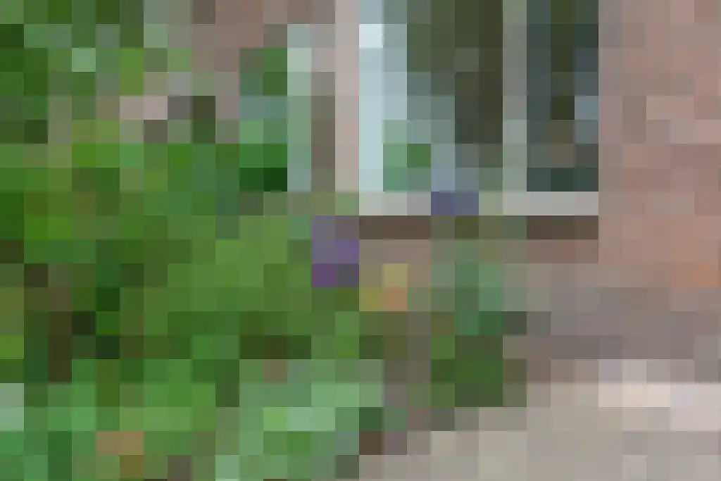 Meloenstraat 42 Utrecht thumbnail 8