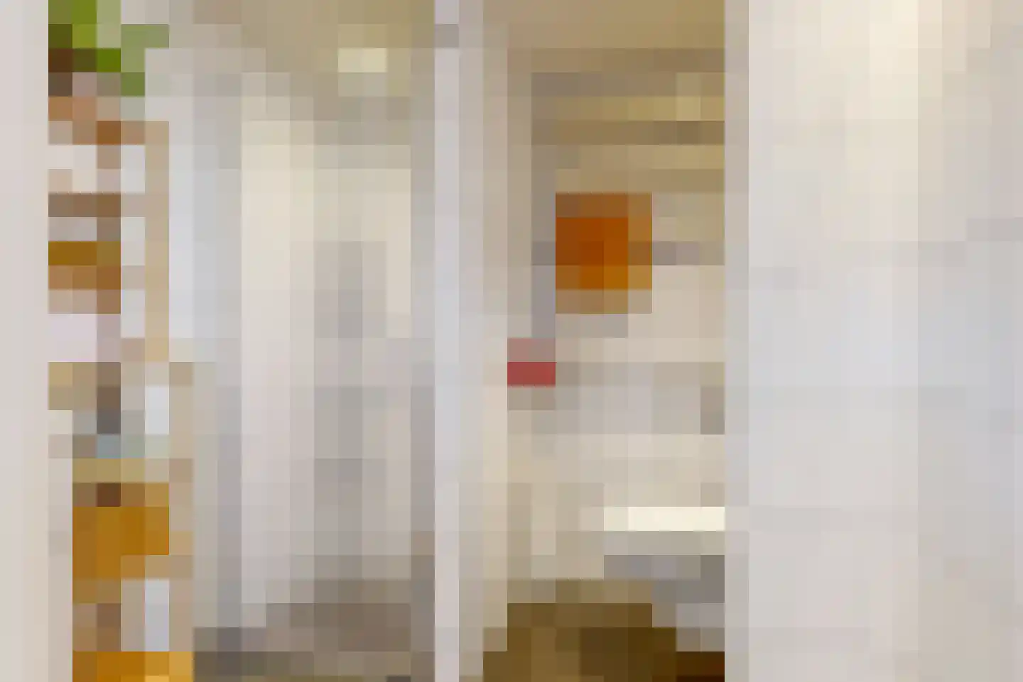 Meloenstraat 45 Leiden thumbnail 18