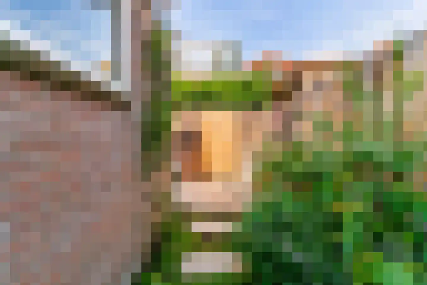 Meloenstraat 45 Leiden thumbnail 32