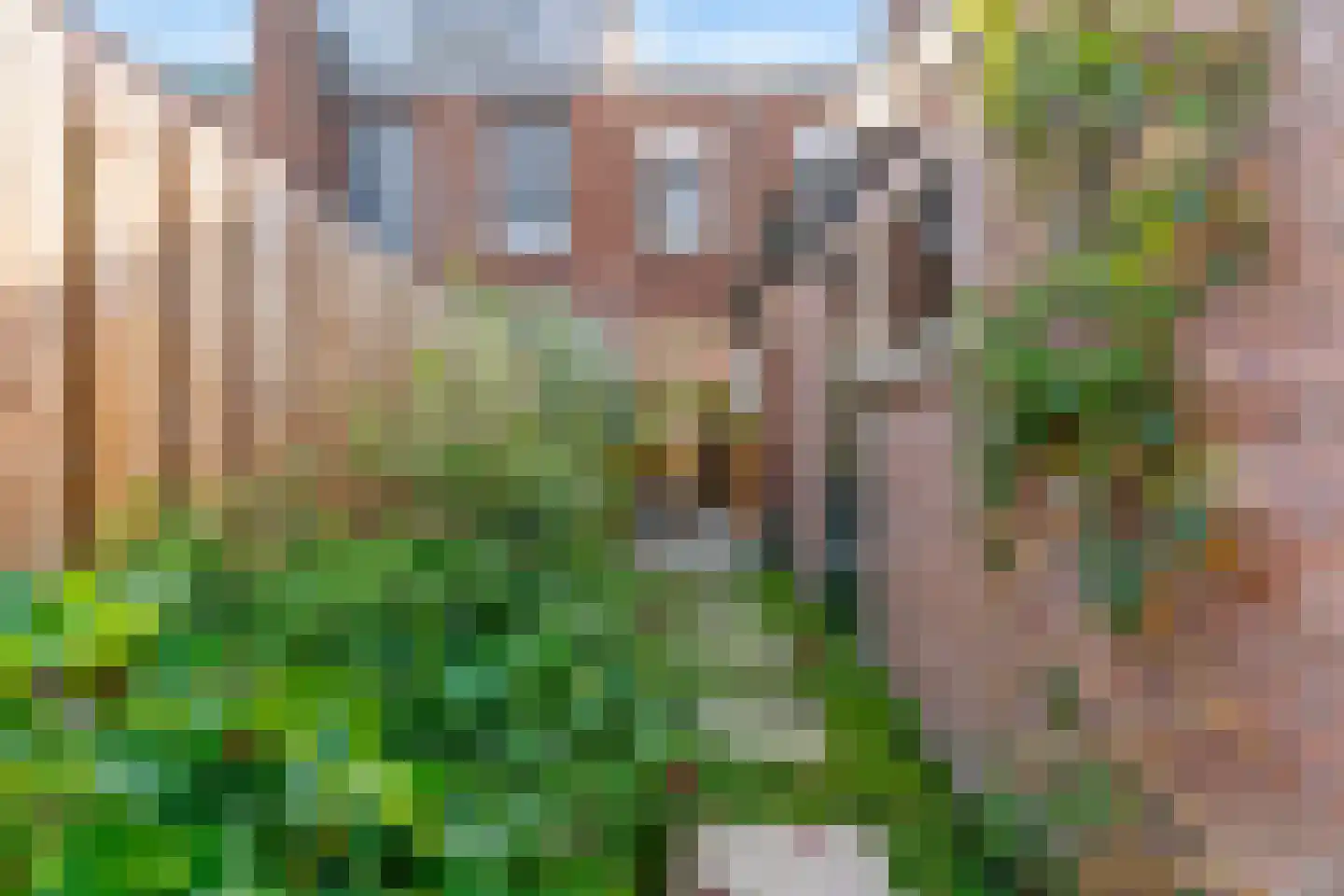 Meloenstraat 45 Leiden thumbnail 37
