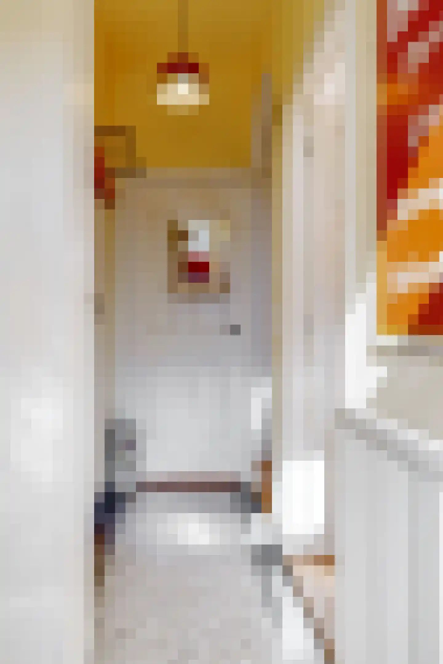 Meloenstraat 45 Leiden thumbnail 6