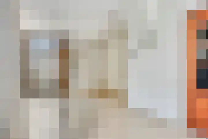 Meloenstraat 47 Leiden thumbnail 7