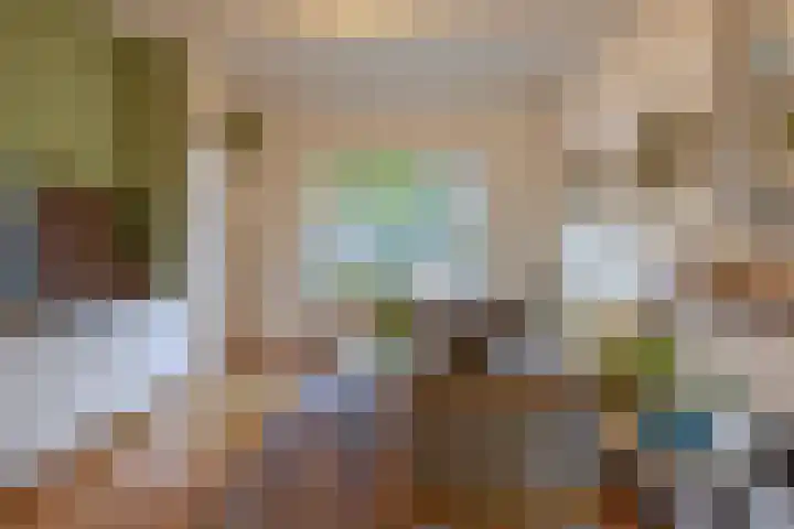 Meloenstraat 7 Utrecht thumbnail 13