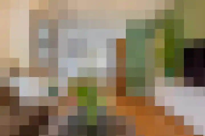 Meloenstraat 7 Utrecht thumbnail 14