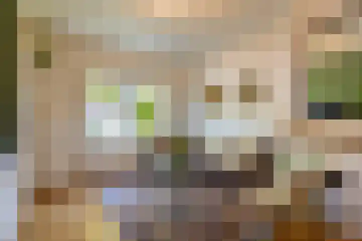 Meloenstraat 7 Utrecht thumbnail 15