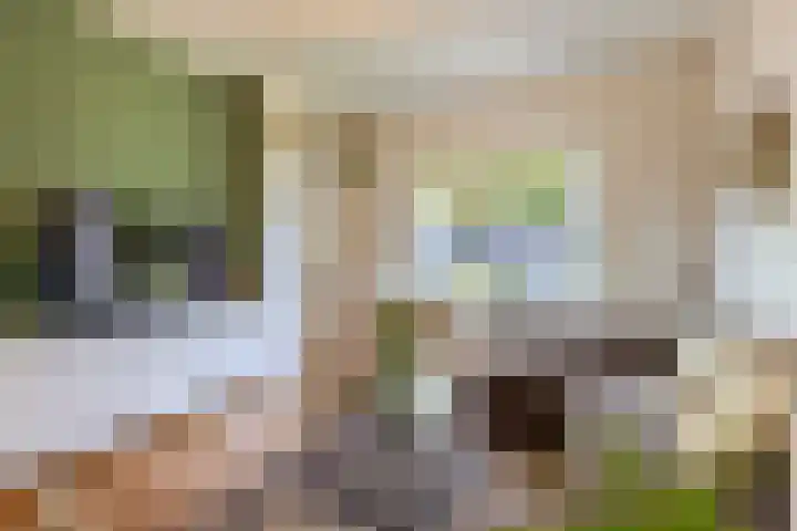 Meloenstraat 7 Utrecht thumbnail 16