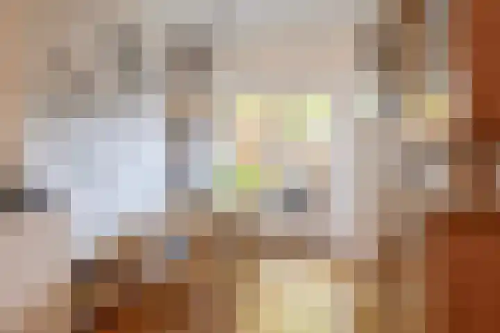 Meloenstraat 7 Utrecht thumbnail 19