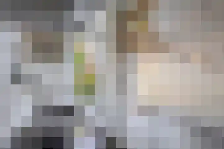 Meloenstraat 7 Utrecht thumbnail 25