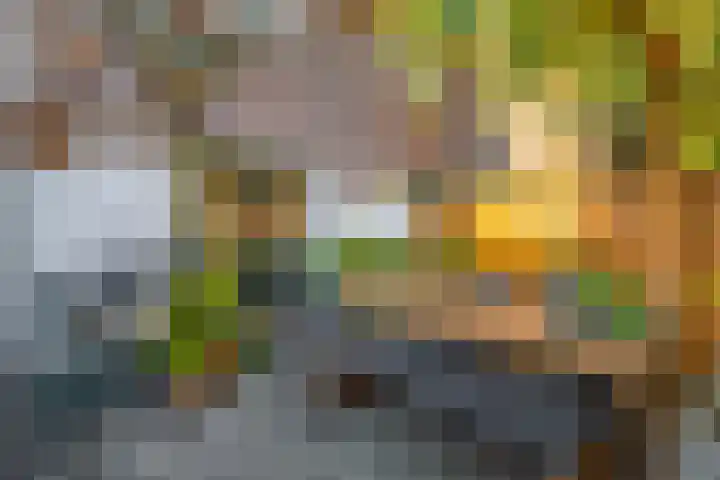 Meloenstraat 7 Utrecht thumbnail 29