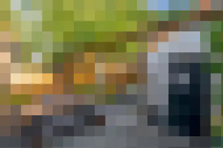 Meloenstraat 7 Utrecht thumbnail 30
