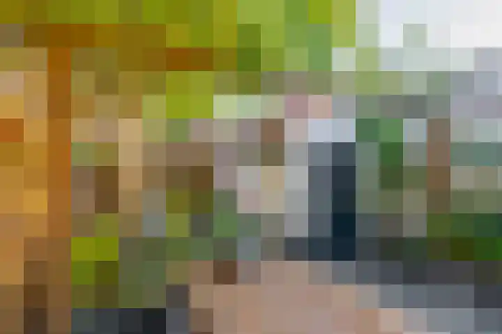 Meloenstraat 7 Utrecht thumbnail 31