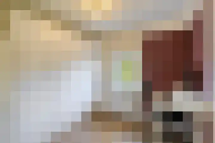 Meloenstraat 7 Utrecht thumbnail 34