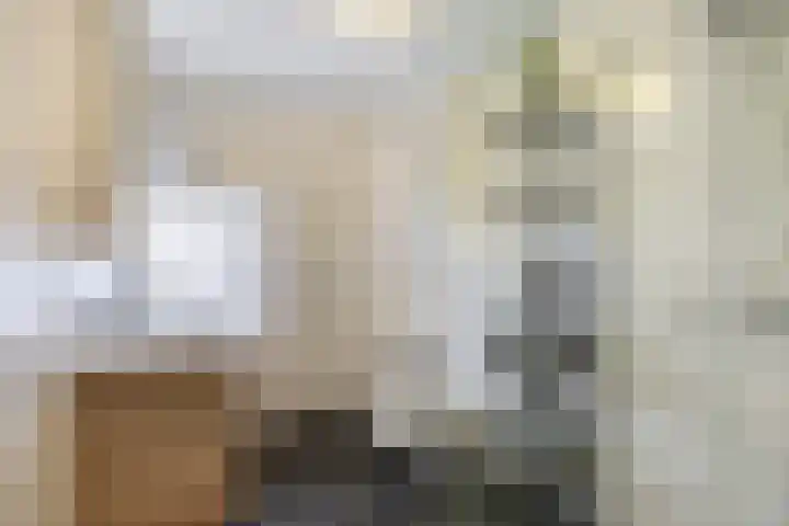 Meloenstraat 7 Utrecht thumbnail 35