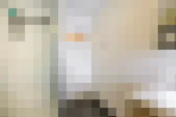 Meloenstraat 7 Utrecht thumbnail 36