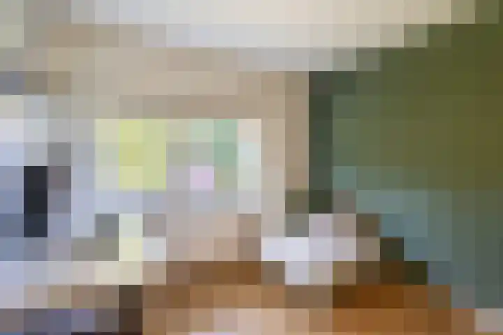 Meloenstraat 7 Utrecht thumbnail 38