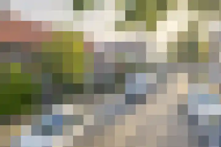 Meloenstraat 7 Utrecht thumbnail 5