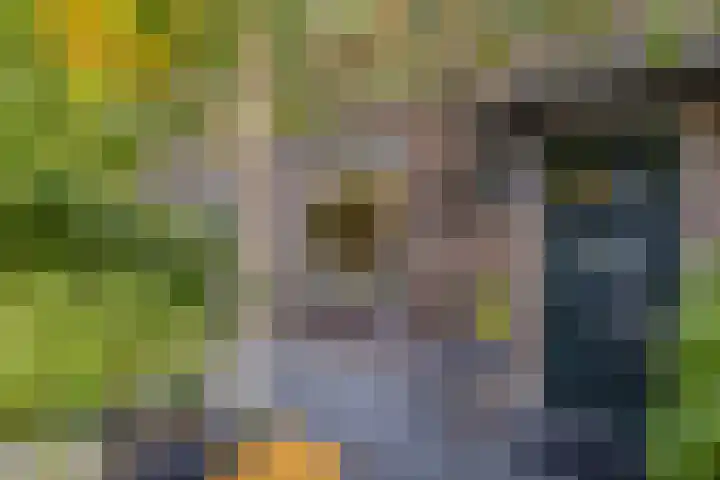 Meloenstraat 7 Utrecht thumbnail 9