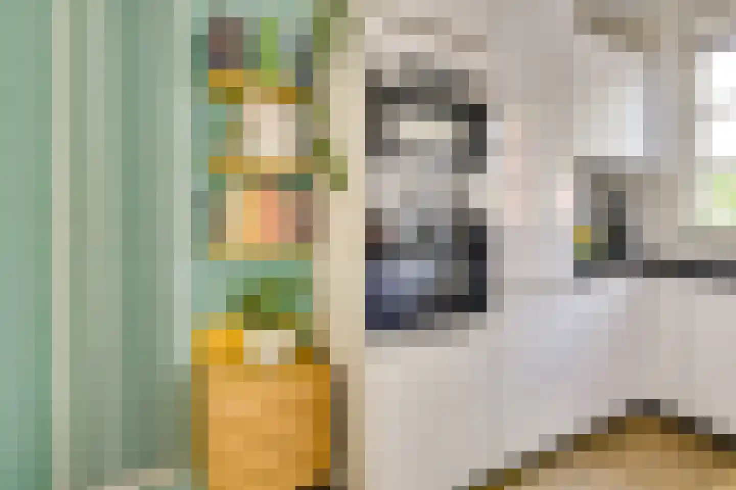 Meloenstraat 76 Utrecht thumbnail 15