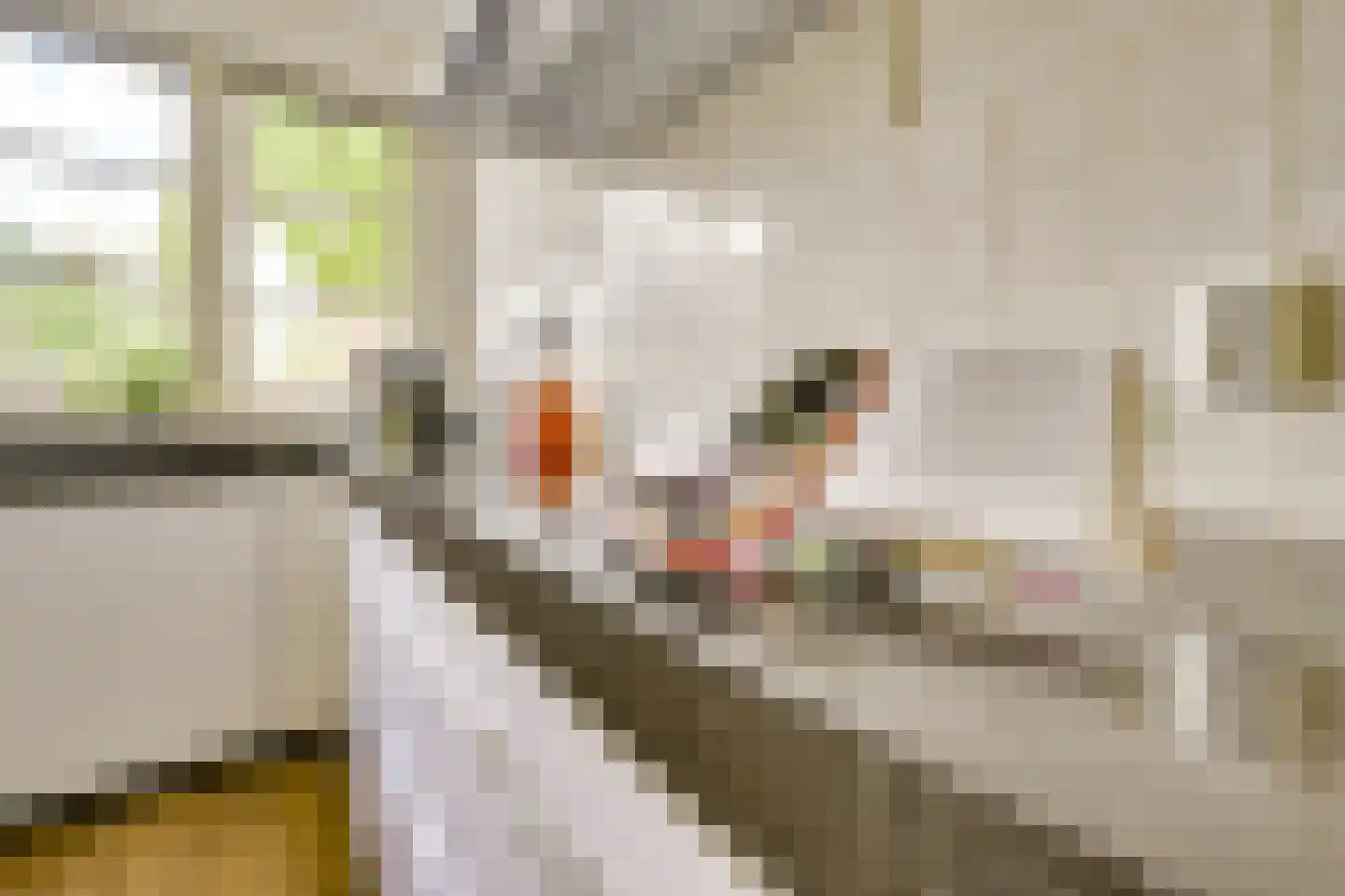 Meloenstraat 76 Utrecht thumbnail 17