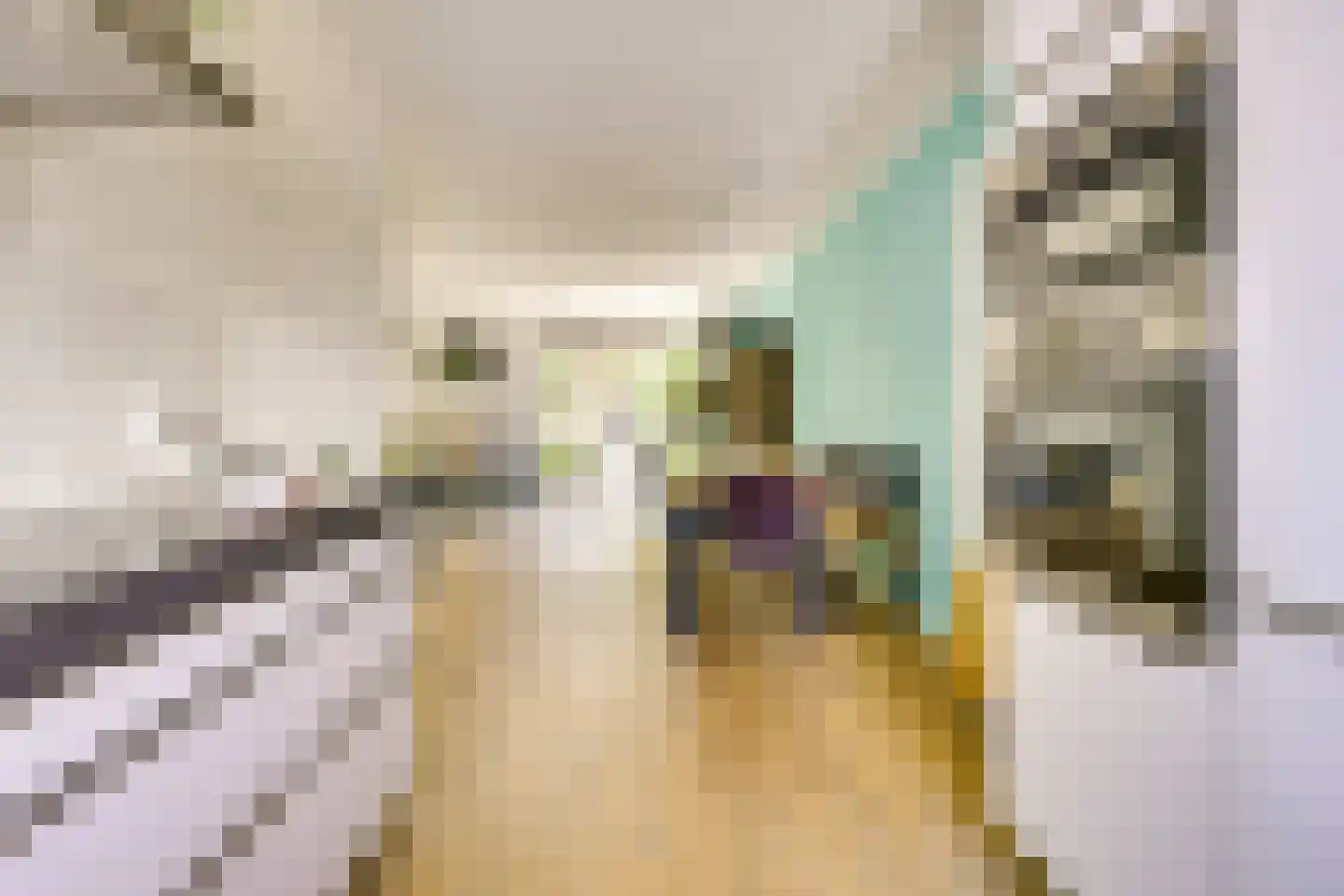 Meloenstraat 76 Utrecht thumbnail 20