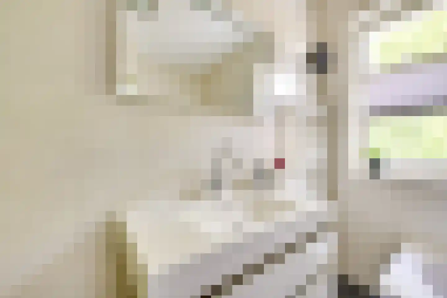 Meloenstraat 76 Utrecht thumbnail 32