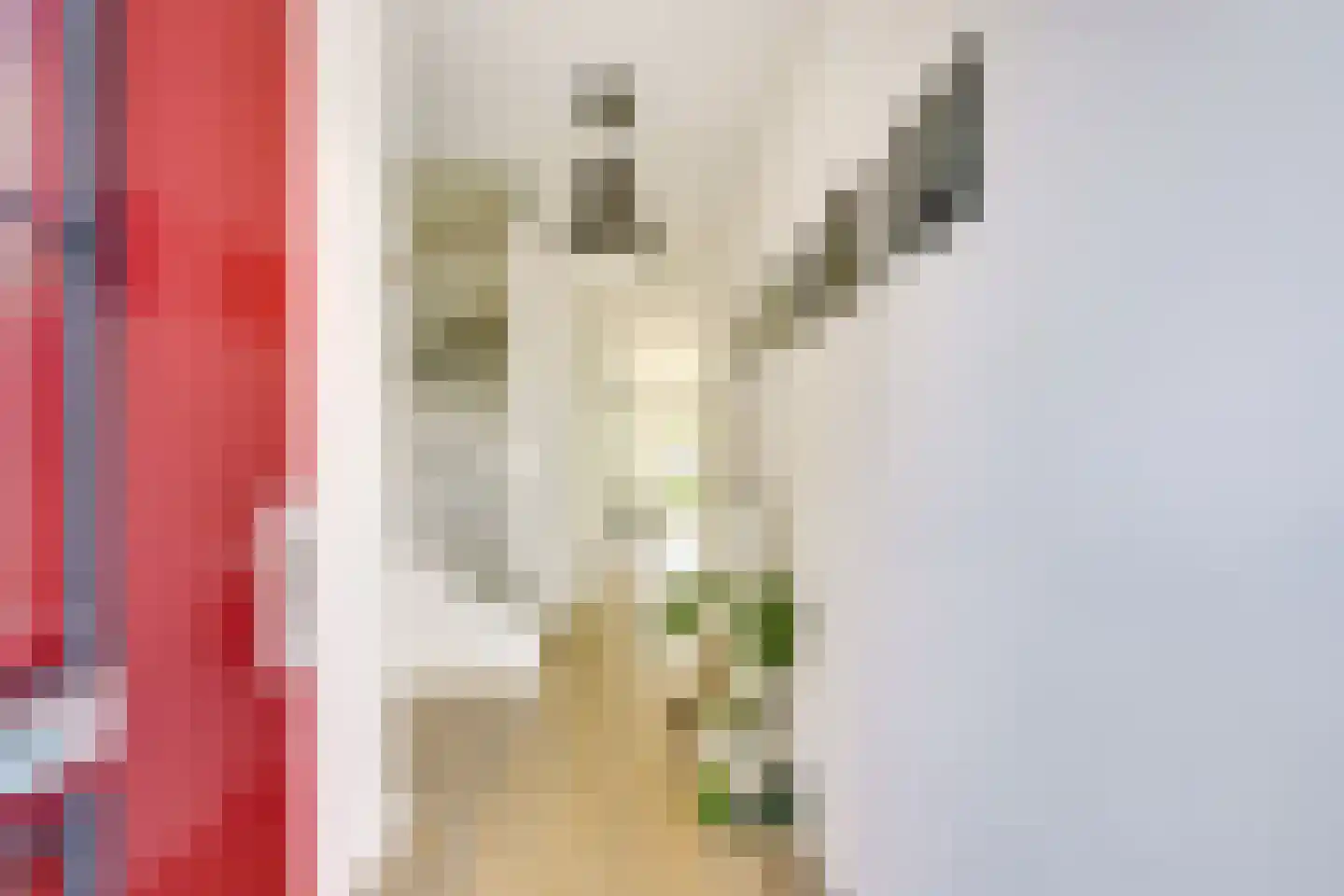 Meloenstraat 76 Utrecht thumbnail 8