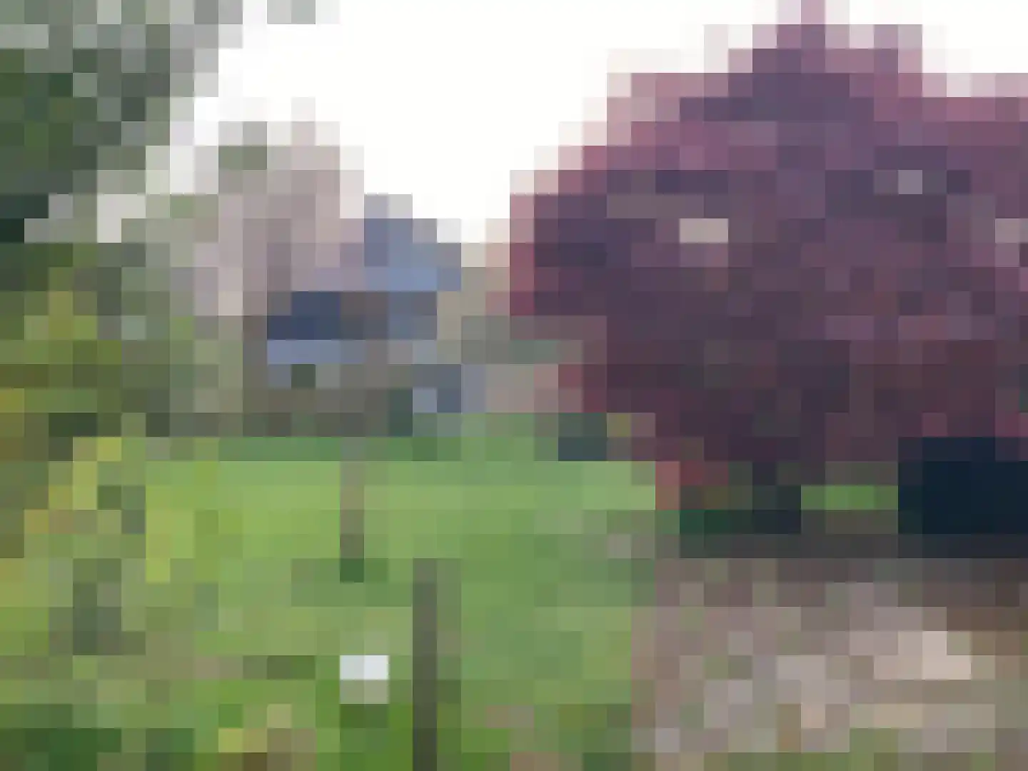 Melrose 56 Duiven thumbnail 58