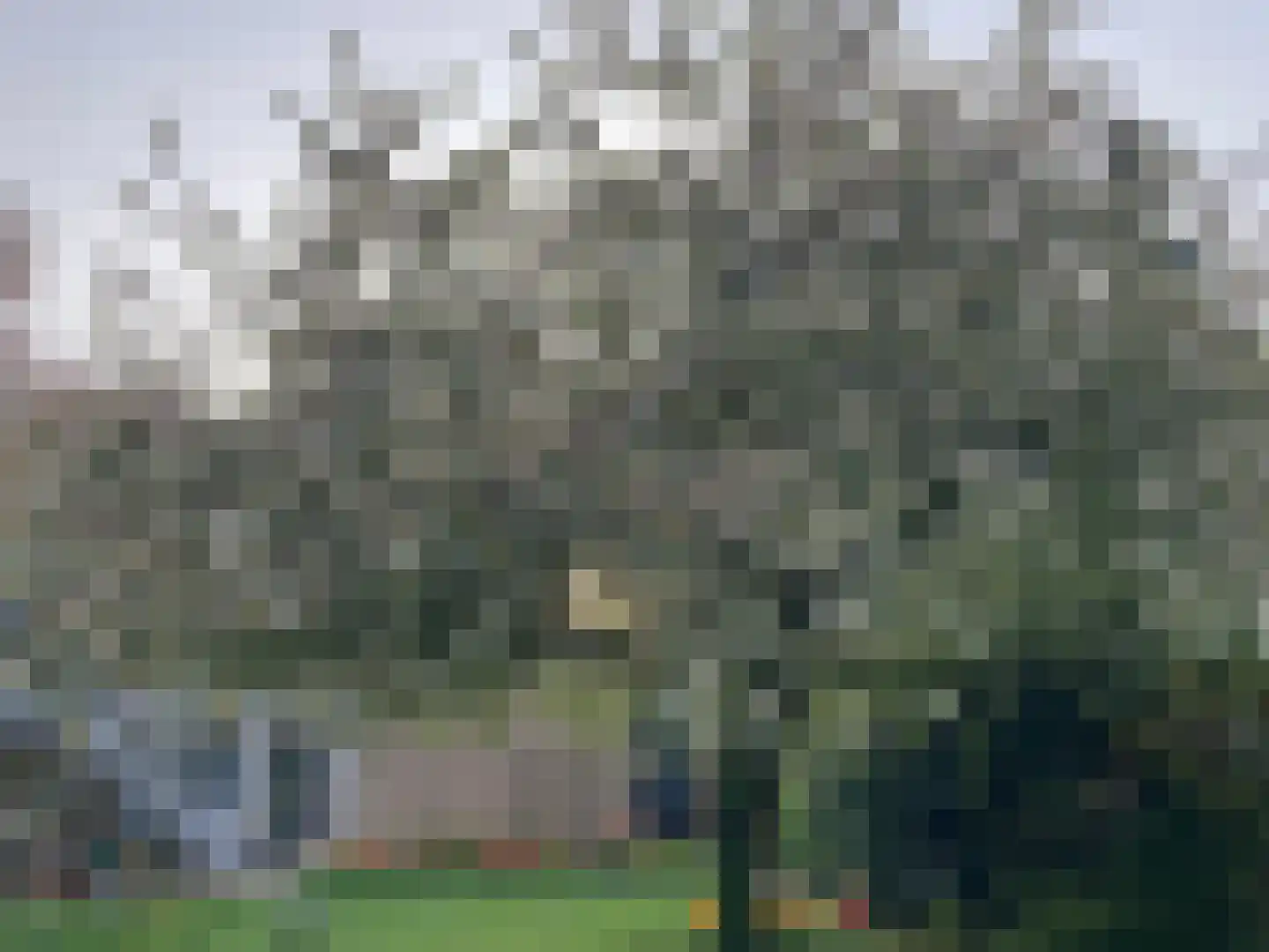 Melrose 56 Duiven thumbnail 59