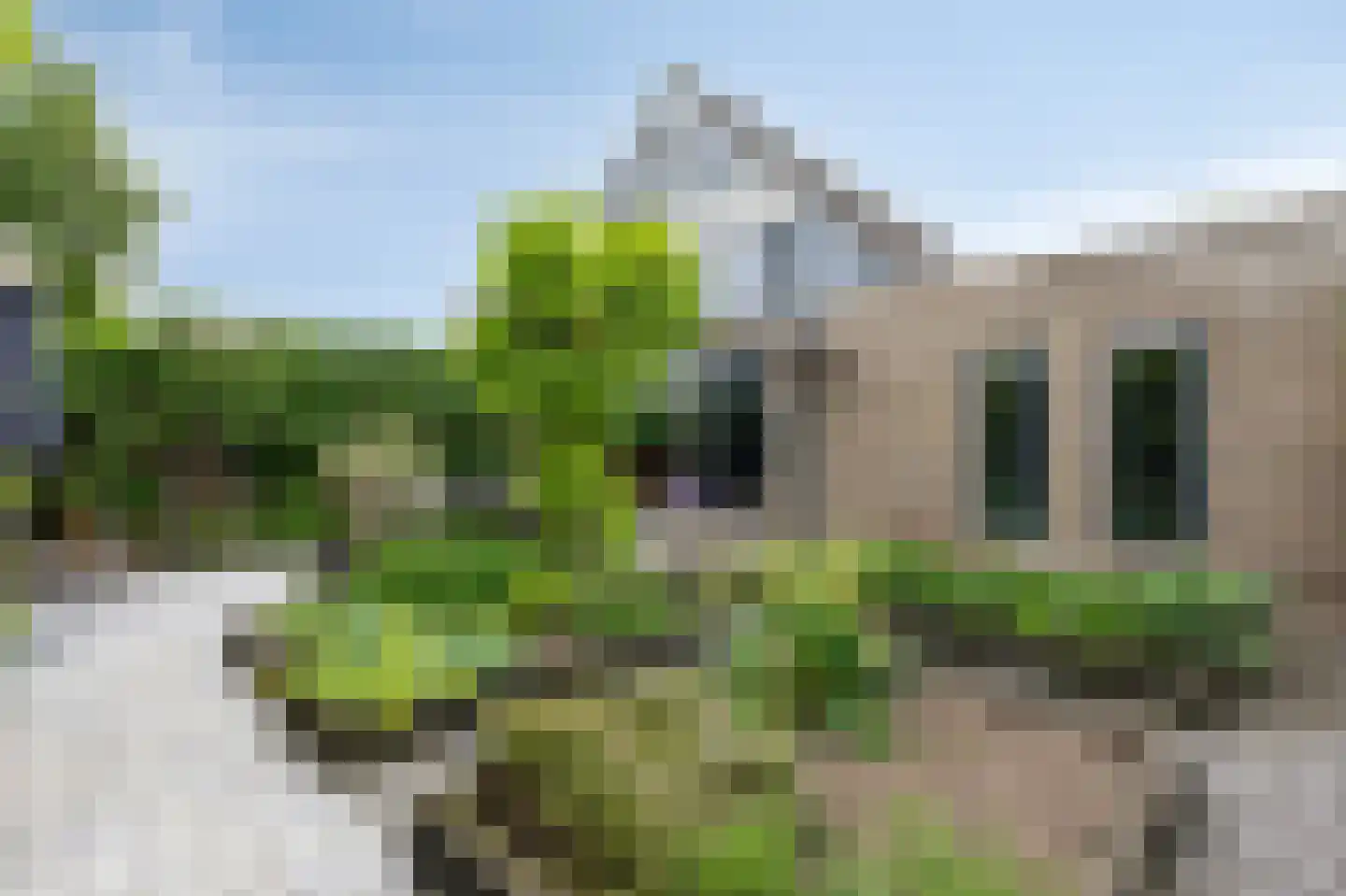 Melrose 64 Duiven thumbnail 4