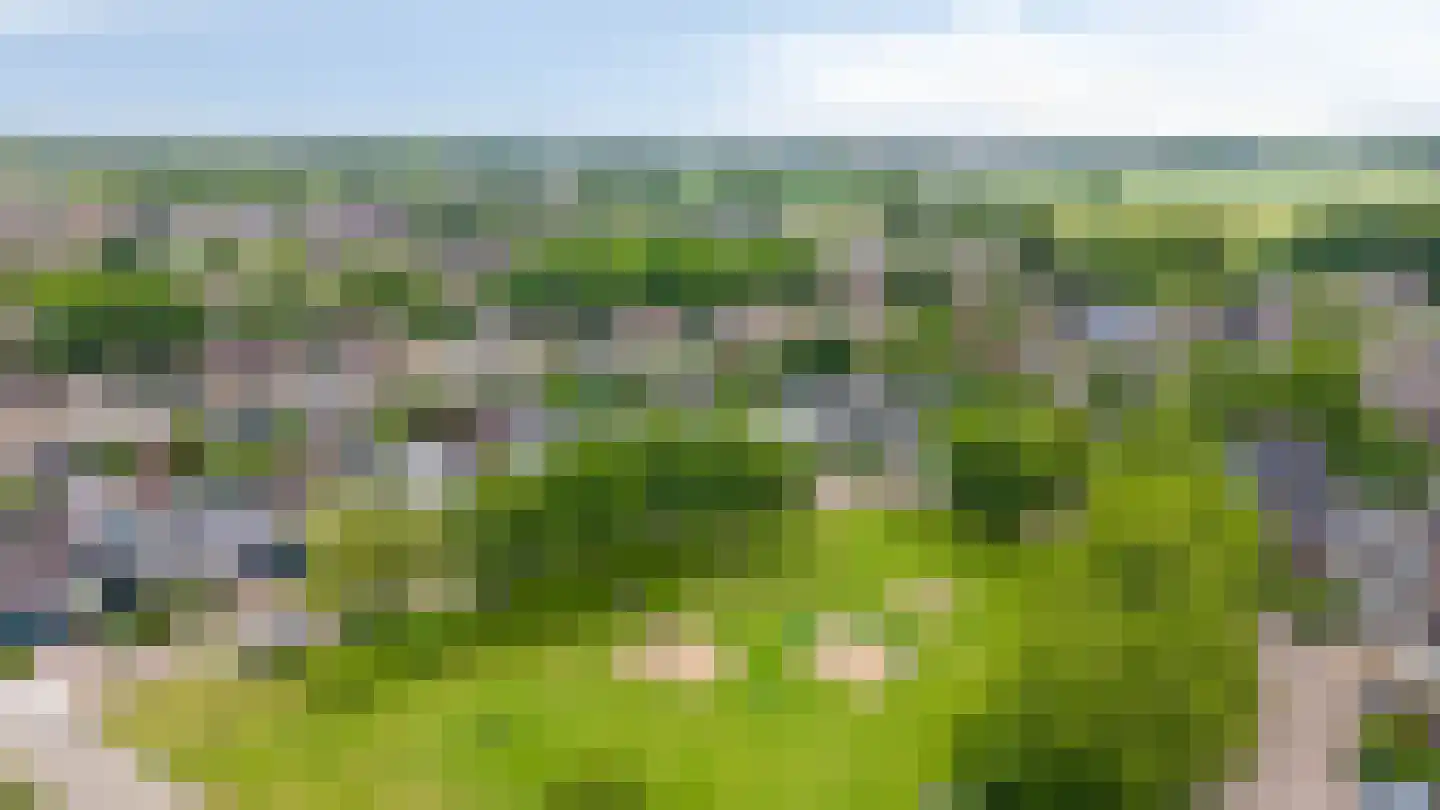 Melrose 64 Duiven thumbnail 6
