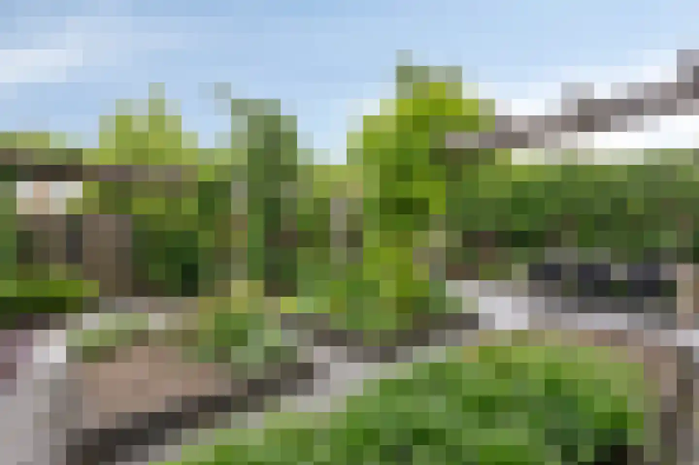 Melrose 64 Duiven thumbnail 64
