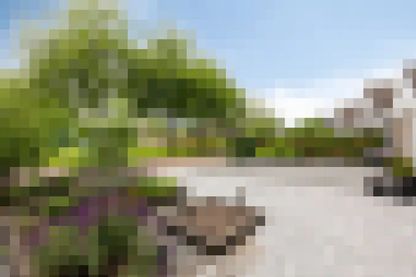 Melrose 64 Duiven thumbnail 68