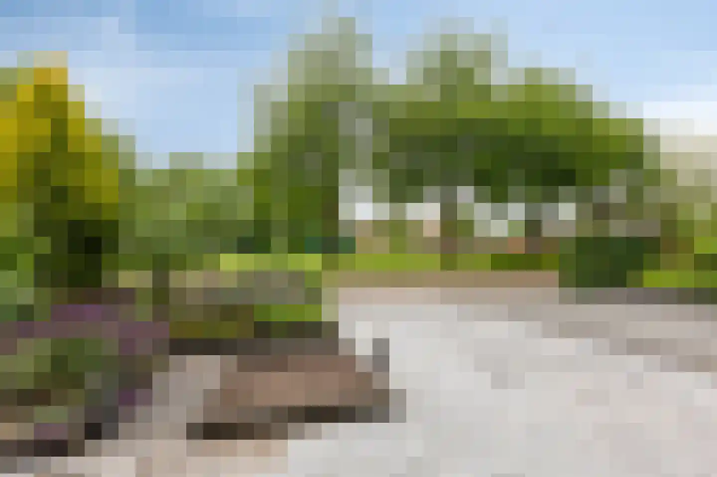 Melrose 64 Duiven thumbnail 69