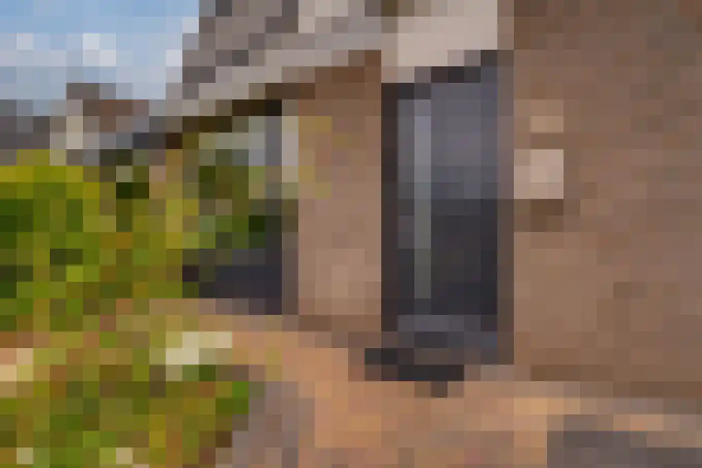 Melrose 74 Duiven thumbnail 9