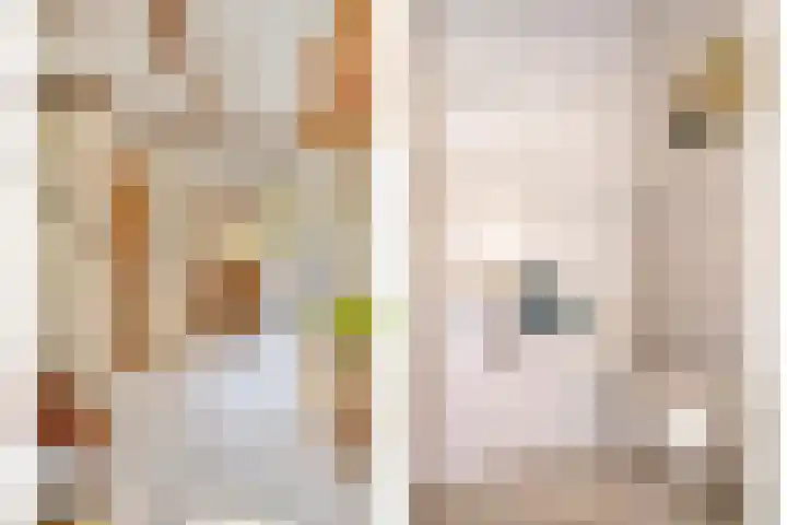 Melsbroekhof 10 Eindhoven thumbnail 11