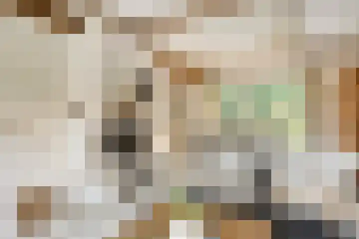 Melsbroekhof 10 Eindhoven thumbnail 16