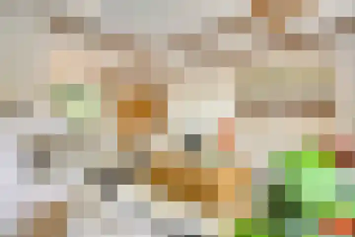 Melsbroekhof 10 Eindhoven thumbnail 17