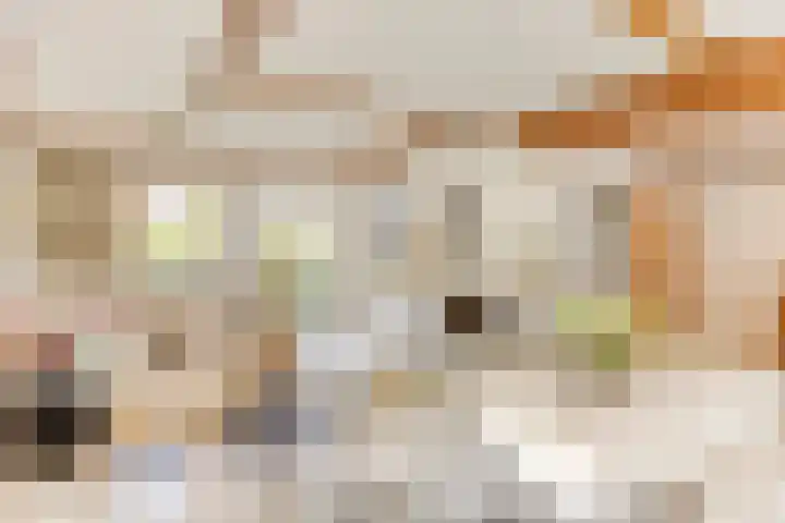 Melsbroekhof 10 Eindhoven thumbnail 18