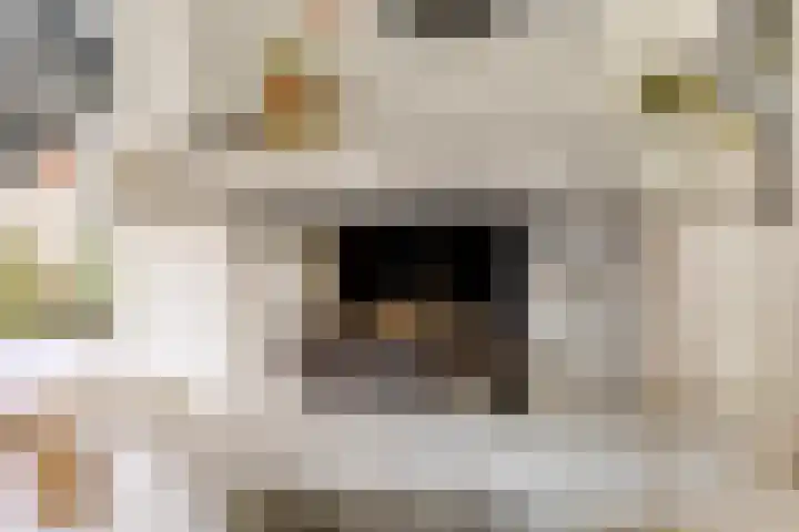 Melsbroekhof 10 Eindhoven thumbnail 23