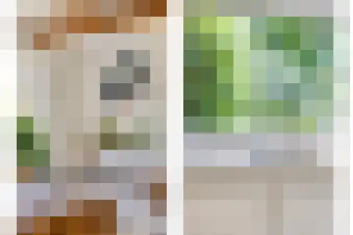 Melsbroekhof 10 Eindhoven thumbnail 25