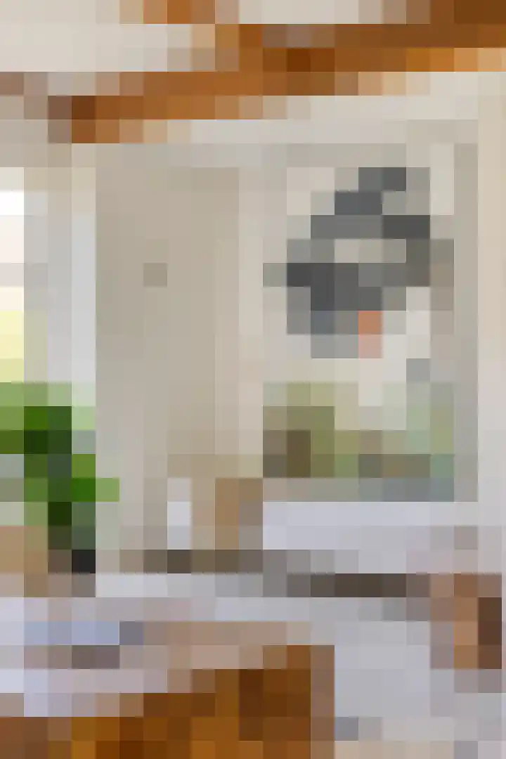 Melsbroekhof 10 Eindhoven thumbnail 26